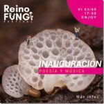 Festival Reino Fungi es el panorama de este fin de semana en Pucón