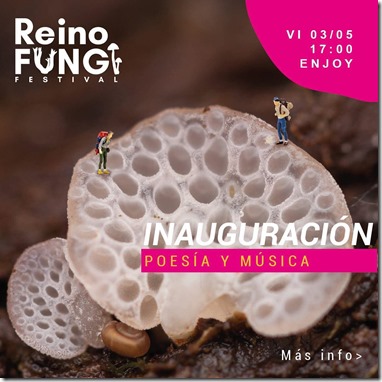 Festival Reino Fungi es el panorama de este fin de semana en Pucón