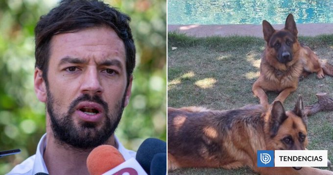 Tomás Vodanovic confirma que sujetos envenaron y mataron a sus perros: «Cuesta entender la maldad»