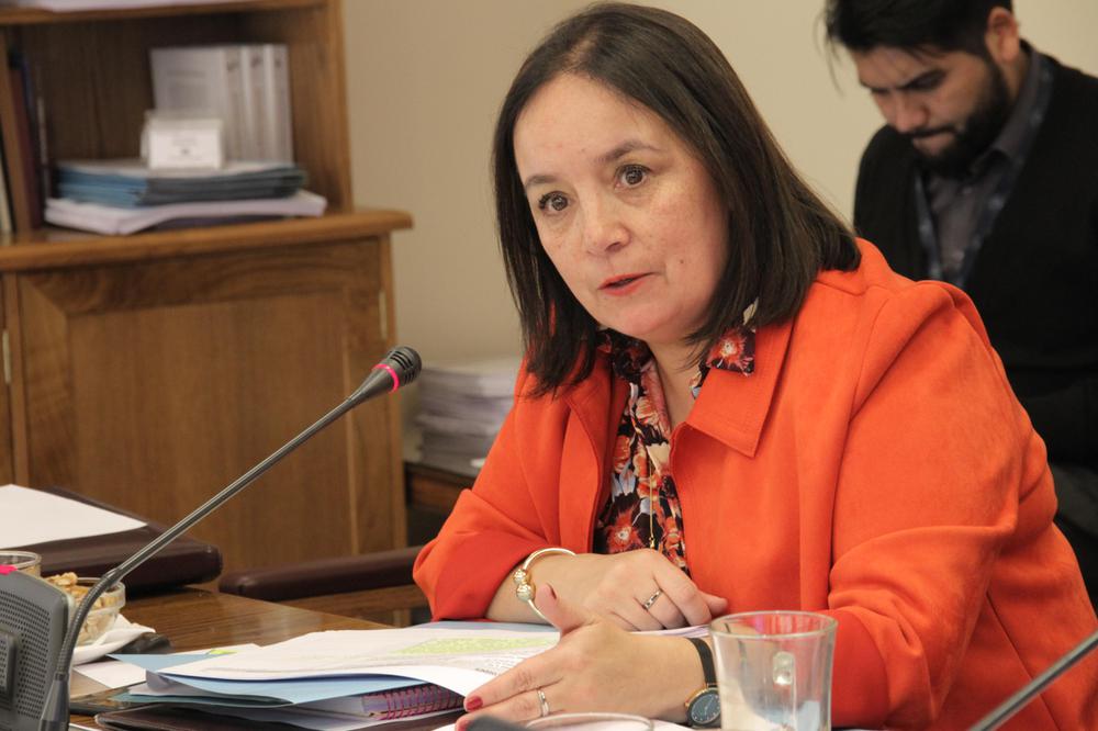 Contacto telefónico/ Senadora Carmen Gloria Aravena