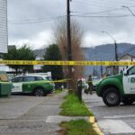 Niño de 7 años muere atropellado en Valdivia: Conductora sin licencia impactó al menor y a su abuela