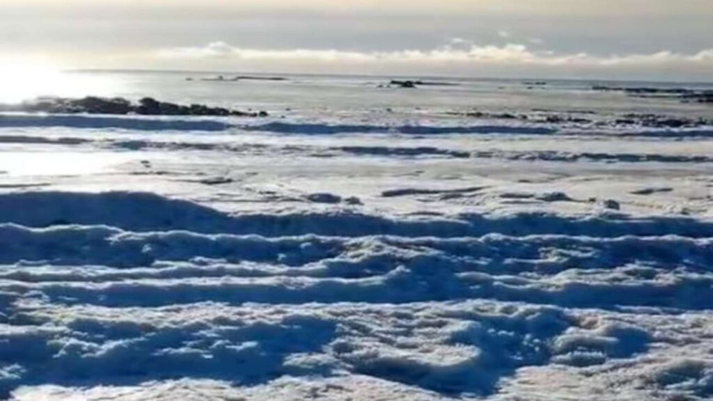 Frío extremo congela totalmente el mar en zona de la Patagonia: temperaturas fueron extremas