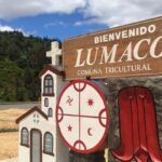 Programa actividades Aniversario 155° de Lumaco.