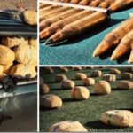 Camioneta robada en Temuco es hallada con droga y munición de guerra en la región de Antofagasta