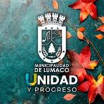 El abandono a las personas mayores (Programa Vínculos)
