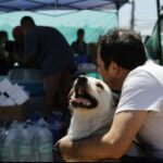 Avanza proyecto que otorga beneficio a trabajadores en caso de muerte de una mascota: ¿En qué consiste?