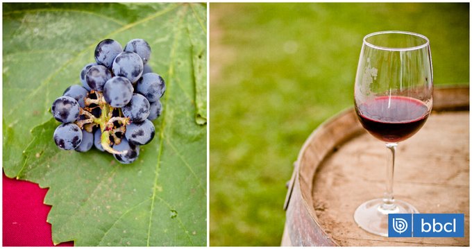 Corfo impulsa el enoturismo sustentable y vitivinicultura junto a comunidades mapuches y rurales