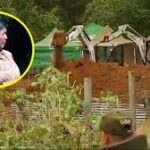 Justicia autoriza demolición de casa y bodega en predio de Julia Chuñil para buscar su cuerpo