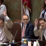 “¡Cállate, vieja ridícula!“: el feroz cruce que protagonizó Gaspar Rivas en plena sesión de la Cámara