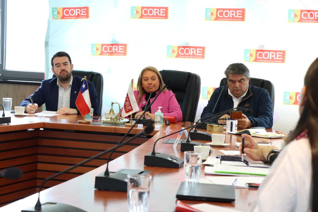 Gobierno Regional presentó diseño para la construcción del Centro Oncológico Integral para La Araucanía