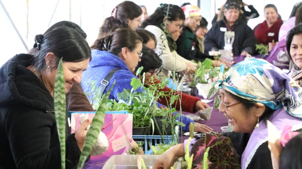 MUJERES DE LA COMUNA DE LUMACO FORTALECE REDES Y COMPARTEN EXPERIENCIAS EN ENCUENTRO INTERCOMUNAL EN TIRÚA