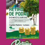 MUNICIPALIDAD DE LUMACO REALIZARÁ RETIRO DE PODAS DOMICILIARIAS DURANTE AGOSTO Y SEPTIEMBRE