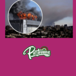 Incendio en bodega provoca densa columna de humo en Santiago