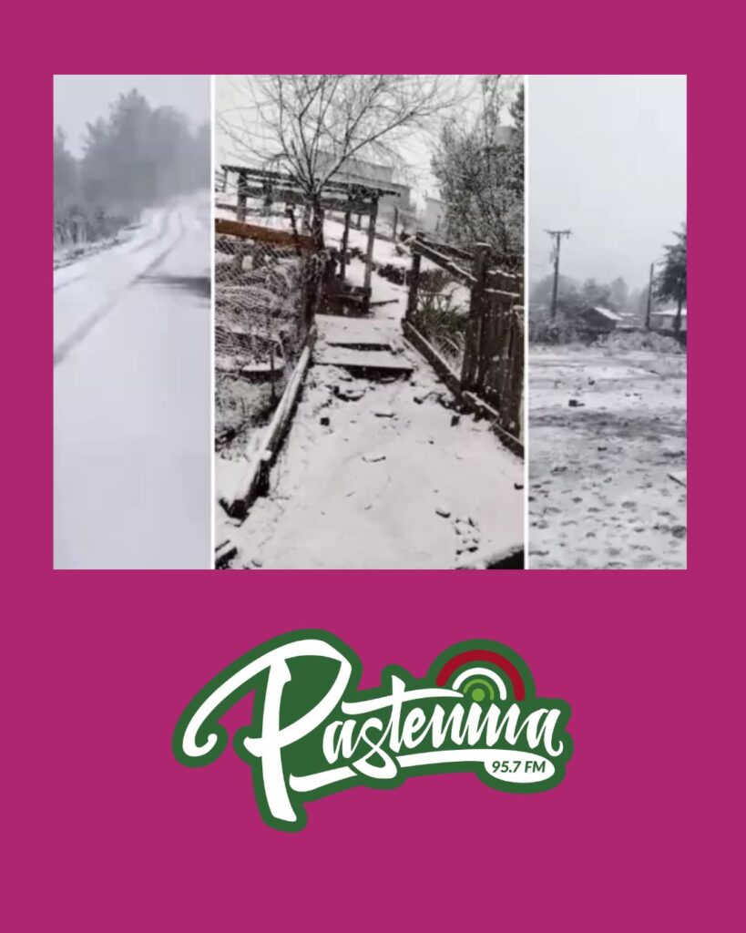 Reportan caída de nieve en sectores rurales de Carahue: fenómeno llegó a la cordillera de la Costa