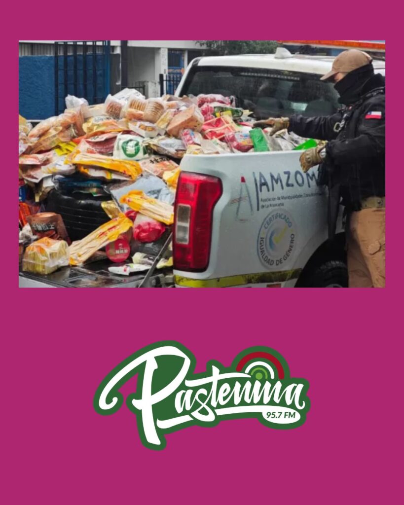 Incautan 1,5 tonelada de alimentos de origen asiático en mal estado y sin autorización en Temuco