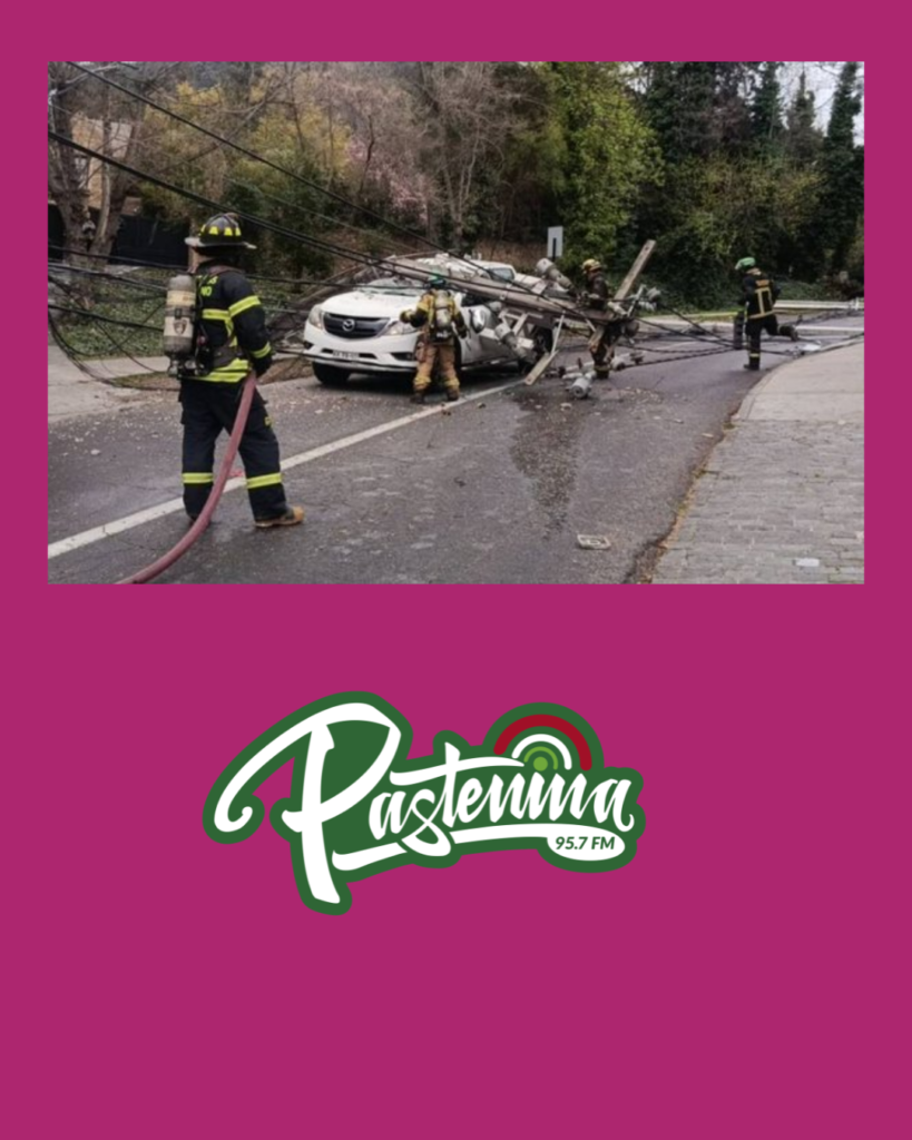 Reportan caída de postes y árboles en Santiago por fuertes vientos