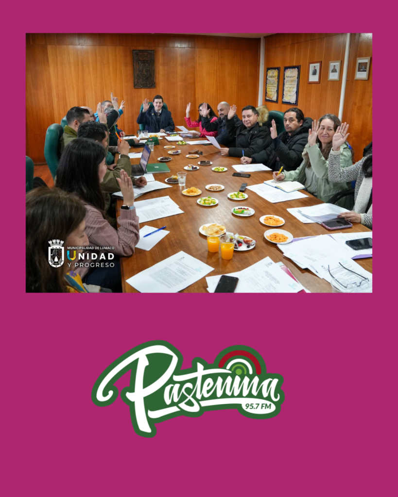 CONSEJO COMUNAL DE SEGURIDAD PÚBLICA SESIONÓ BAJO LAS NUEVAS DISPOSICIONES DE LA LEY N°21.802