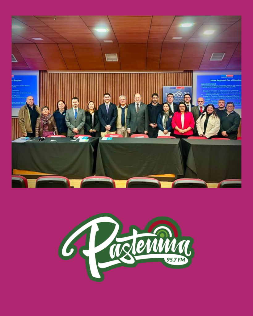 Mesa Regional por el Empleo apunta a crear 4 mil puestos de trabajo en La Araucanía