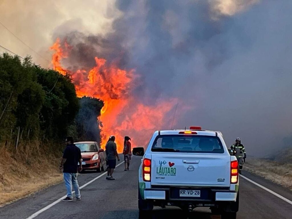 Familias fueron evacuadas y se declaró Alerta Roja: Siniestro consume 30 hectáreas en Lautaro