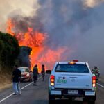 Familias fueron evacuadas y se declaró Alerta Roja: Siniestro consume 30 hectáreas en Lautaro