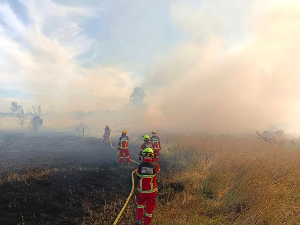 Gobierno Regional gestiona ayuda en el Pabellón Araucanía para bomberos, brigadistas y familias afectadas por los incendios forestales de la región