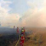 Gobierno Regional gestiona ayuda en el Pabellón Araucanía para bomberos, brigadistas y familias afectadas por los incendios forestales de la región