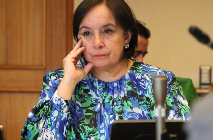 SENADORA CARMEN GLORIA ARAVENA SE REFIERE A DETENCIÓN DE MIEMBROS DE LA CAM