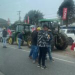 Agricultores se dirigen a Temuco para manifestación por el precio del trigo