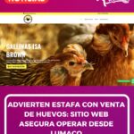 ADVIERTEN ESTAFA CON VENTA DE HUEVOS: SITIO WEB ASEGURA OPERAR DESDE LUMACO