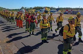 Brigadas y aeronaves de CMPC combaten seis incendios entre Biobío y La Araucanía