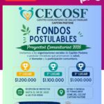 CECOSF CAPITÁN PASTENE ABRE POSTULACIÓN A FONDOS PARA PROYECTOS COMUNITARIOS