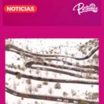 Camino a Farellones colapsado: Tacos kilométricos tras masiva llegada de turistas para disfrutar de la nieve